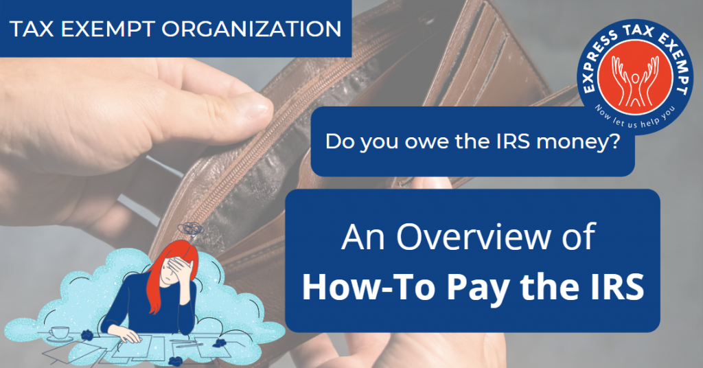 Pay the IRS online, IRS payment